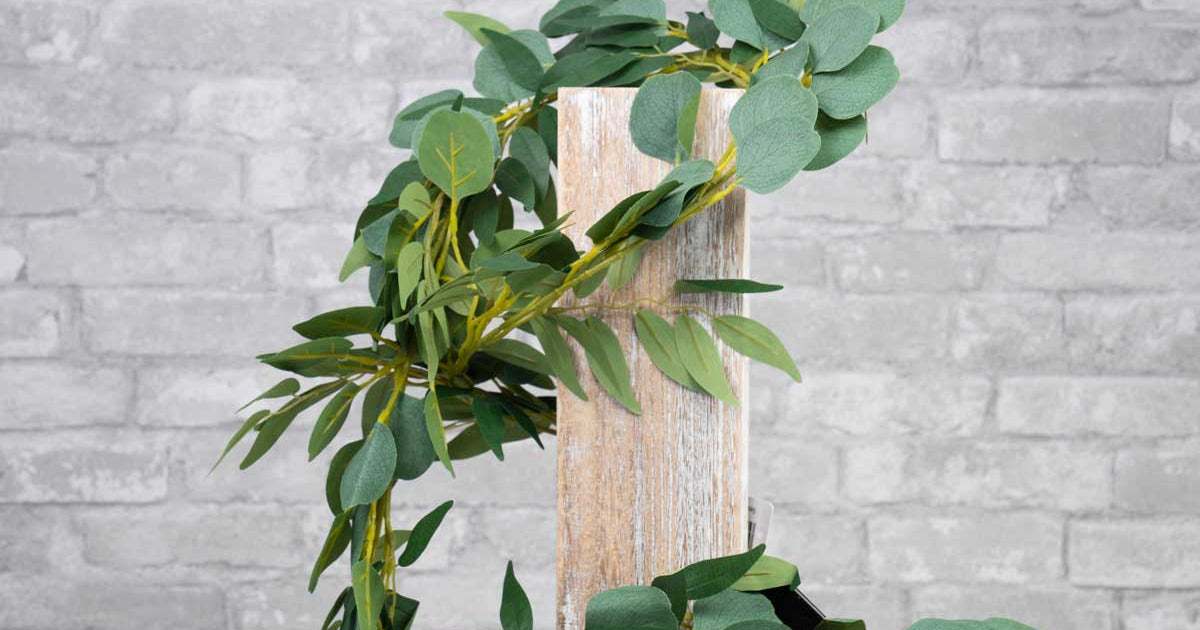 How Long Does Eucalyptus Last? Unlocking Its Secrets and DIY Ideas