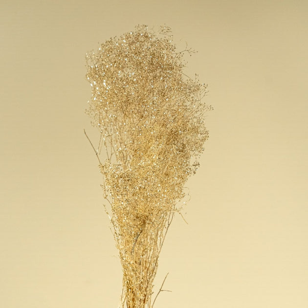 Baby's Breath (Champagne) – Sola Wood Flowers