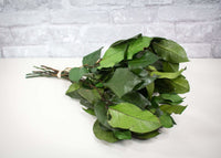 Custom Salal - Green 1/5 - Sola Wood Flowers