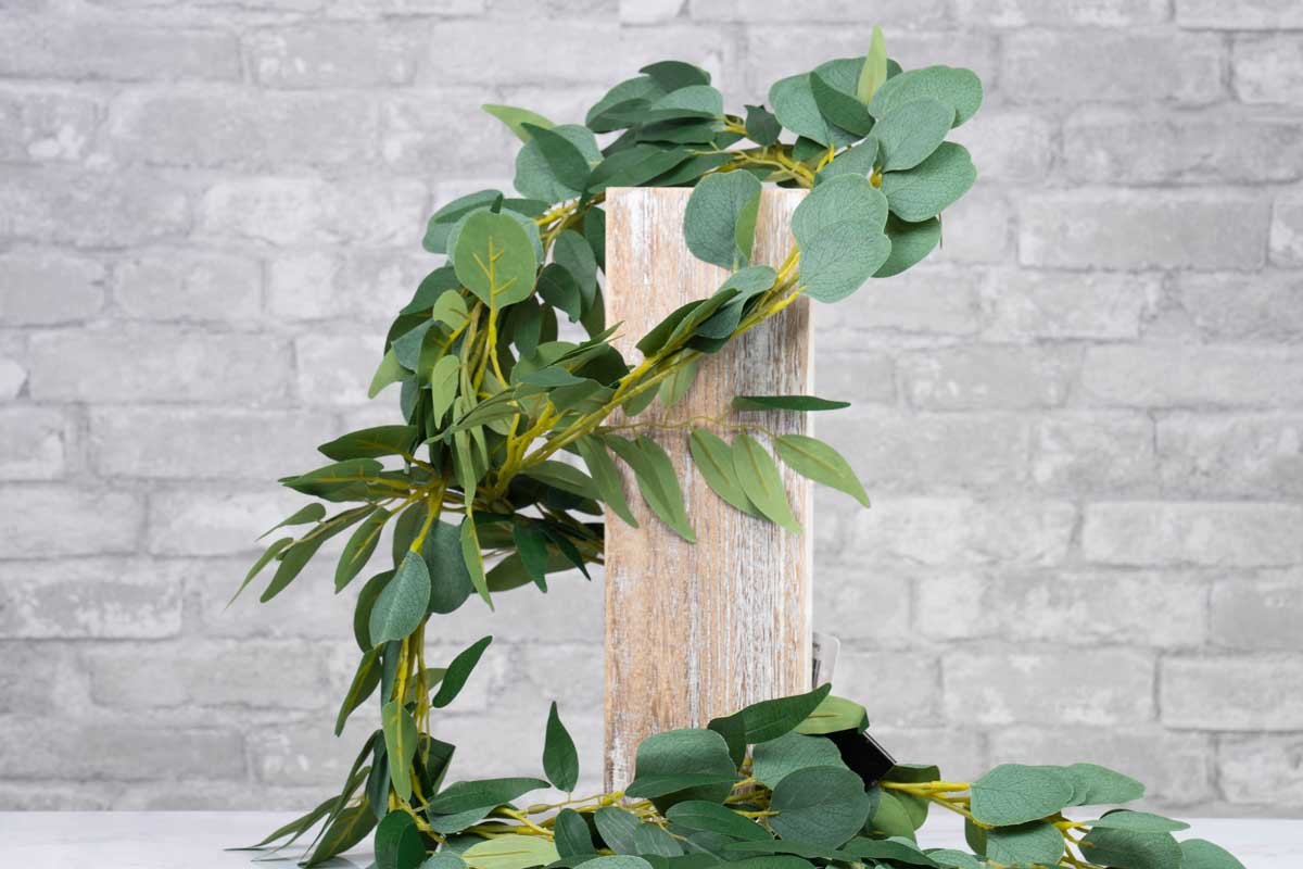 How To Make The Most Out of Eucalyptus