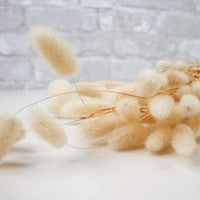 Custom Bunny Tails Natural 1/5 - Sola Wood Flowers