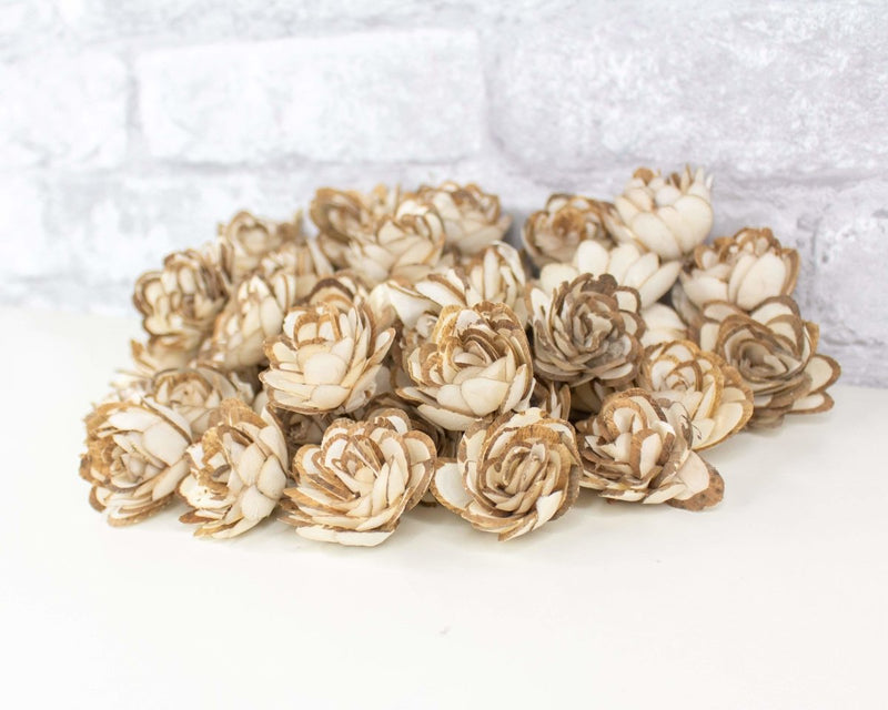 1" Almond - 50 Pack - Sola Wood Flowers