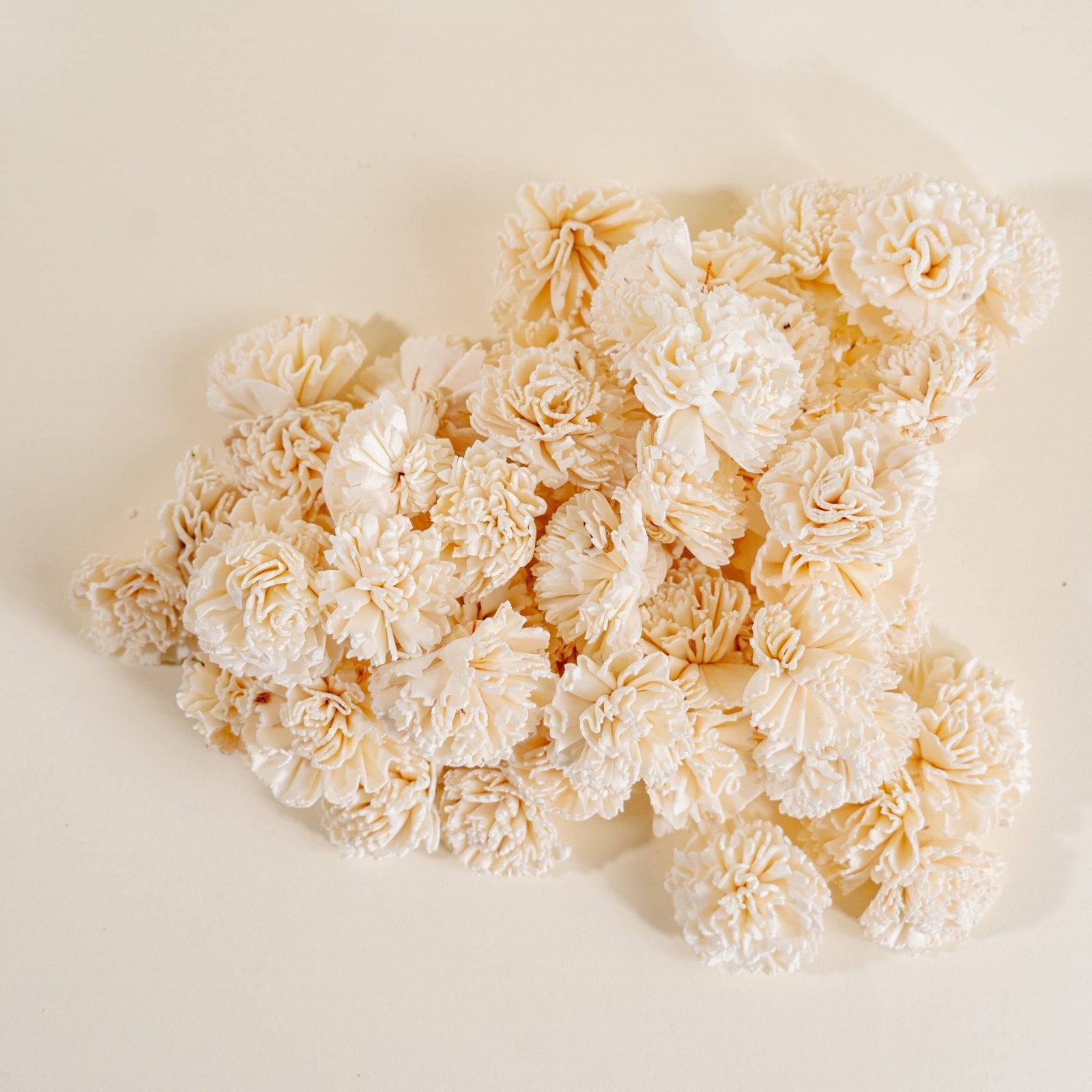 Carnation Flower - Sola Flowers - sold by the dozen - Oh! You're Lovely -  Sola Wood Flowers