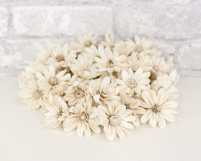 1.5" Daisy May - 50 Pack - Sola Wood Flowers
