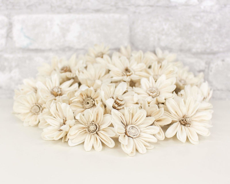 1.5" Daisy May - 50 Pack - Sola Wood Flowers