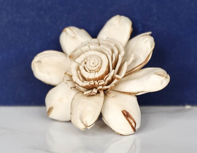 1.5" Distressed Daisy (10 Pack) - Sola Wood Flowers