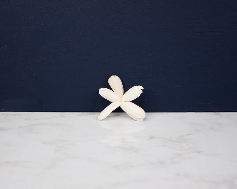 1.5" Dragonfly (10 Pack) - Sola Wood Flowers
