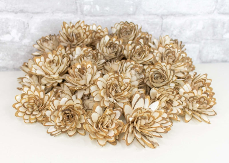 2" Almond - 50 Pack - Sola Wood Flowers