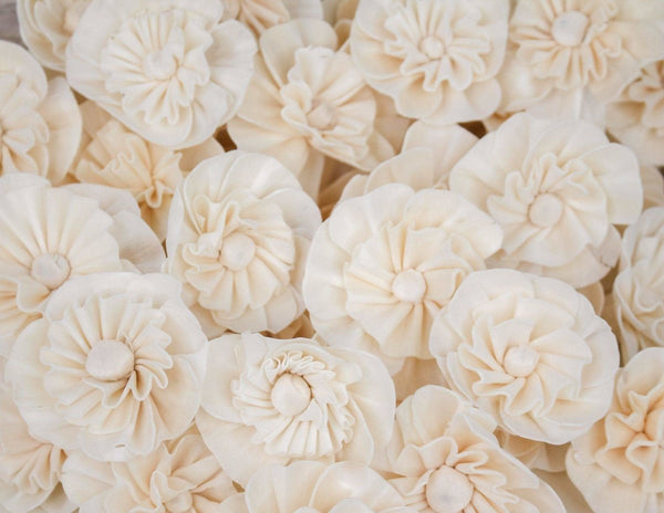 2" Beatrice - 50 Pack - Sola Wood Flowers