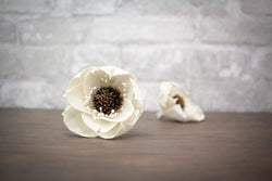 2" Beckie w/White Tips (3 Pack) - Sola Wood Flowers