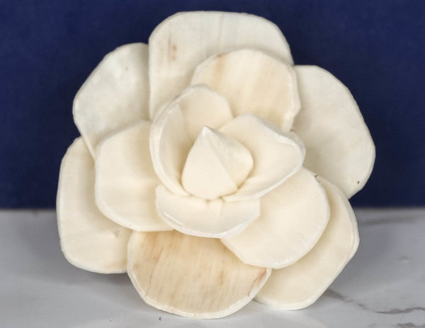 2" Betty the Beautiful (10 pack) - Sola Wood Flowers