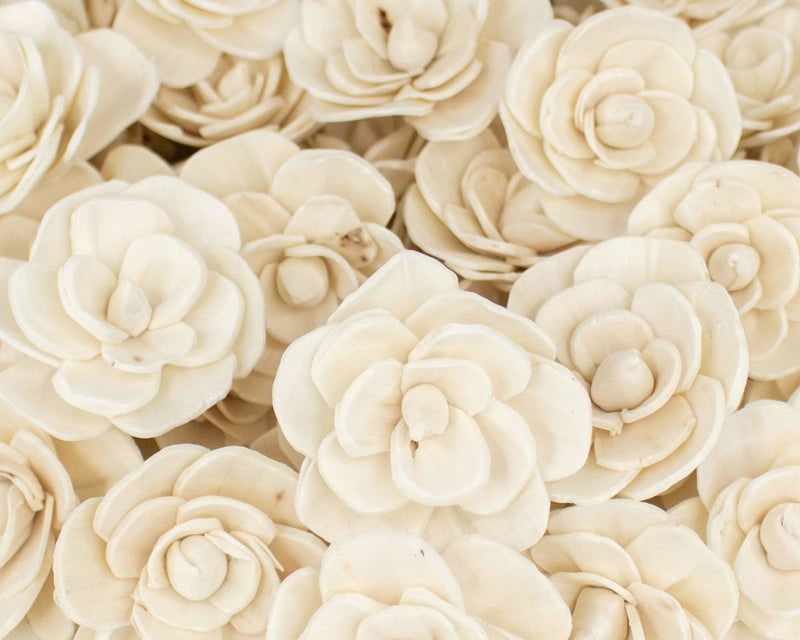 2" Betty The Beautiful - 50 Pack - Sola Wood Flowers