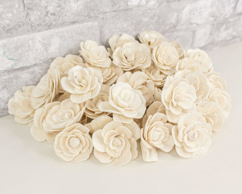 2" Betty The Beautiful - 50 Pack - Sola Wood Flowers