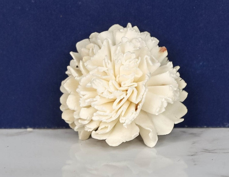 2" Carnation (10 pack) - Sola Wood Flowers