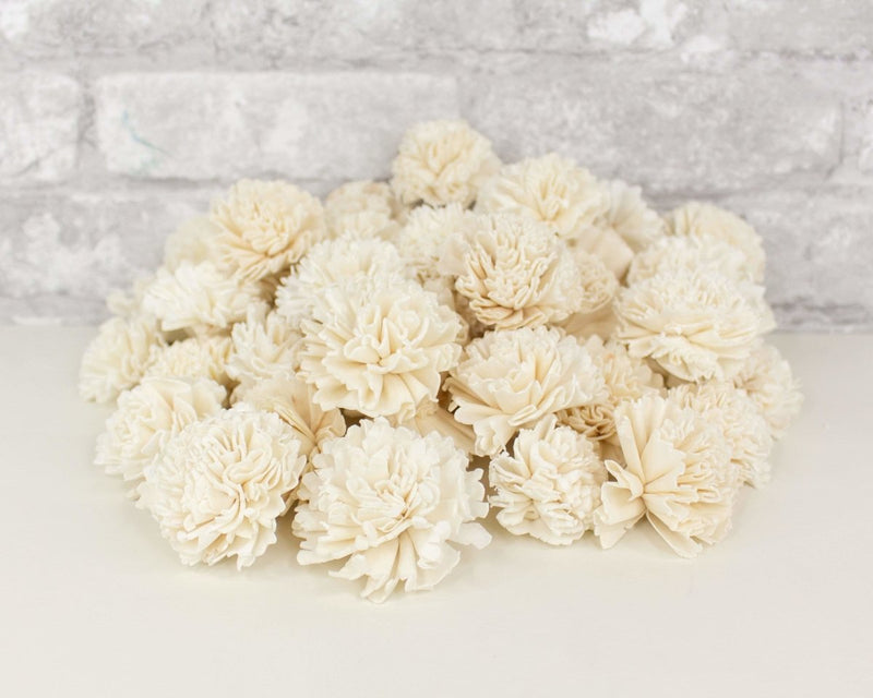 2" Carnation - 50 Pack - Sola Wood Flowers