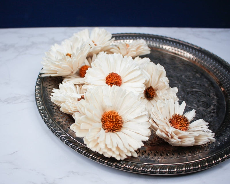 2" Classic Daisy (10 Pack) - Sola Wood Flowers