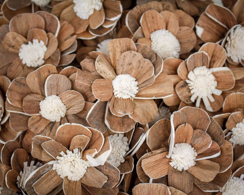 2" Coco - 50 Pack - Sola Wood Flowers