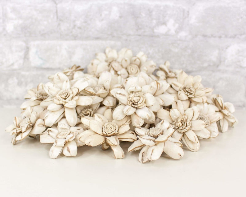 2" Distressed Daisy - 50 Pack - Sola Wood Flowers
