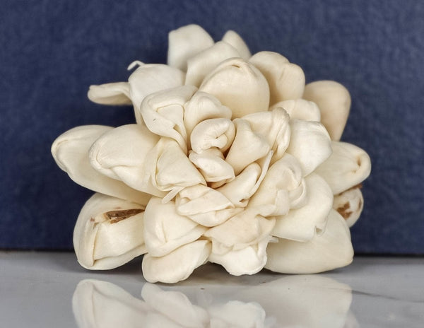 2" Donna (10 Pack) - Sola Wood Flowers