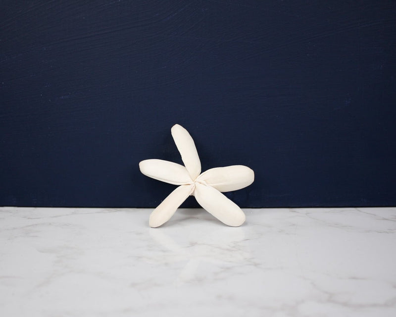 2" Dragonfly (10 Pack) - Sola Wood Flowers