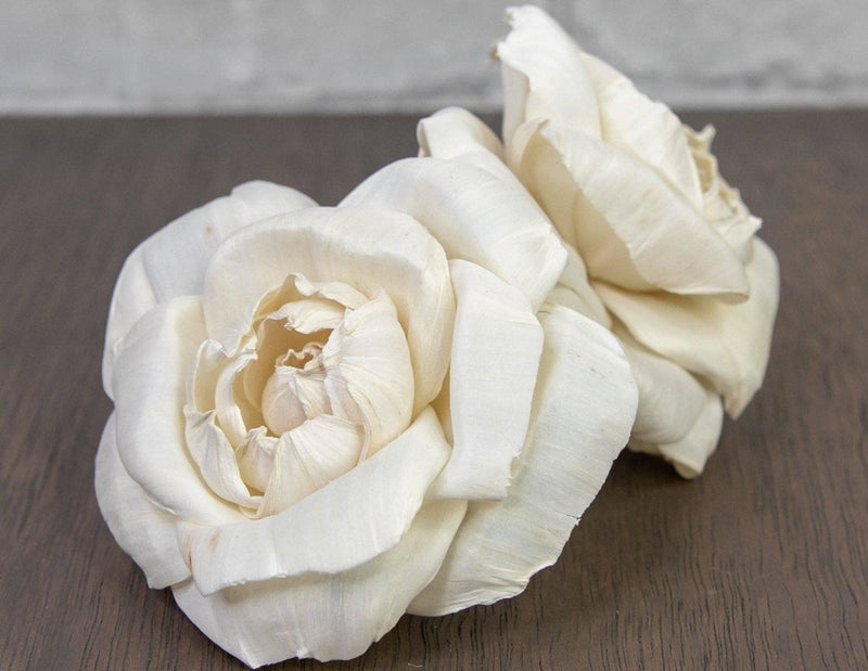 2" Ravishing Rose (10 Pack) - Sola Wood Flowers