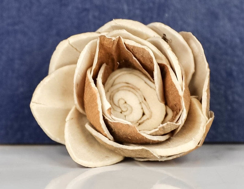 2" Skin Lotus (10 Pack) - Sola Wood Flowers