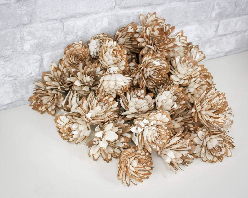 3" Almond - 50 Pack - Sola Wood Flowers