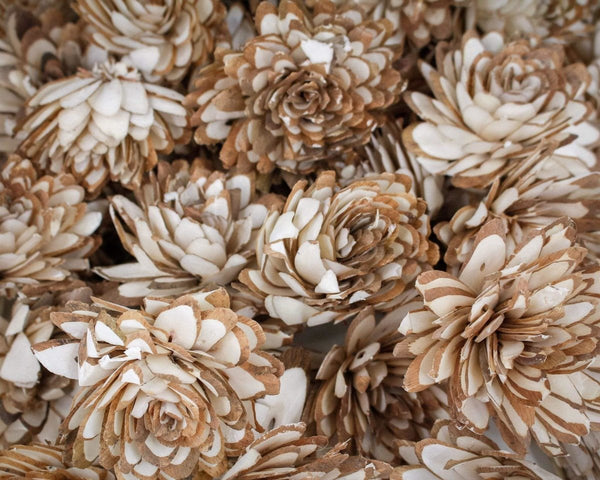 3" Almond - 50 Pack - Sola Wood Flowers