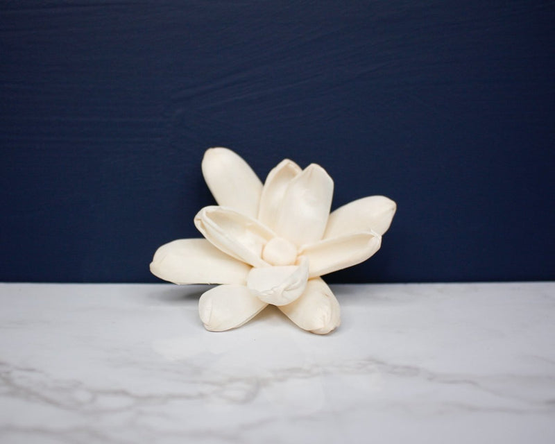 3" Bitty (10 pack) - Sola Wood Flowers