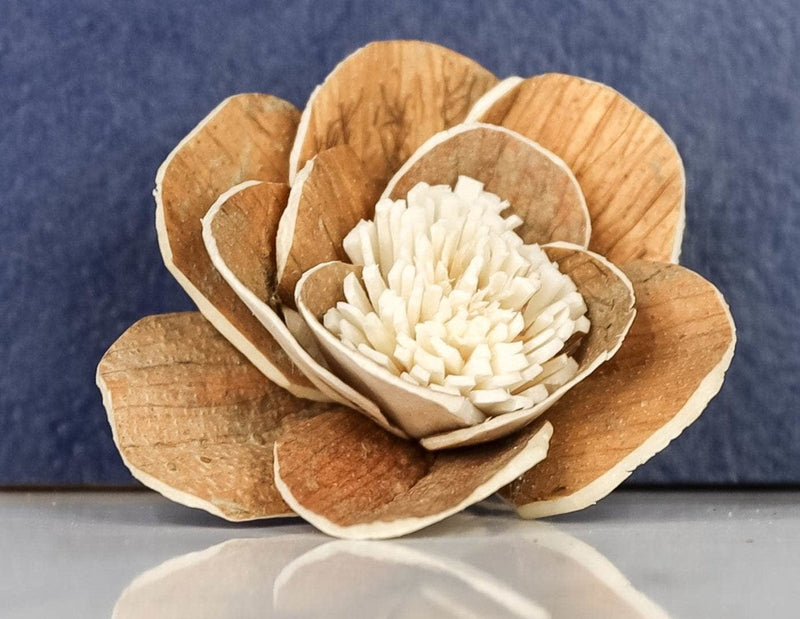 3" Coco (10 Pack) - Sola Wood Flowers