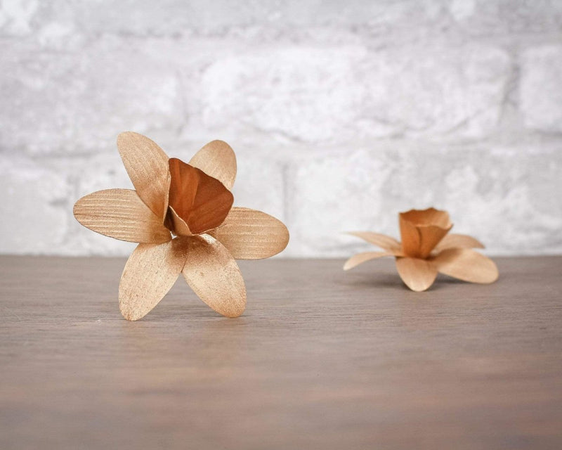 3" Copper Daffodil (10 Pack) - Sola Wood Flowers