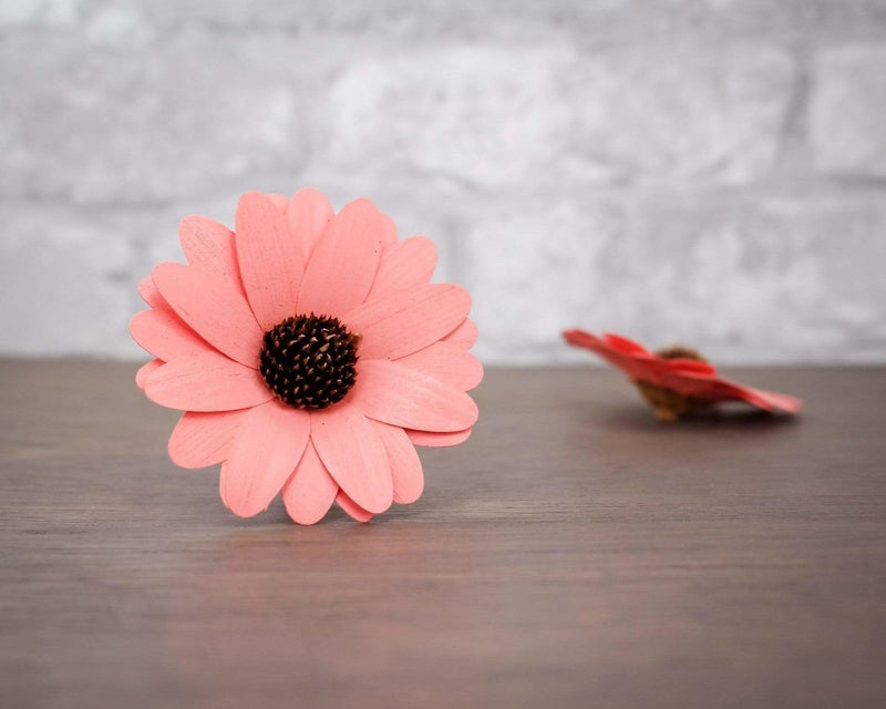 3" Coral Daisy (10 Pack) - Sola Wood Flowers