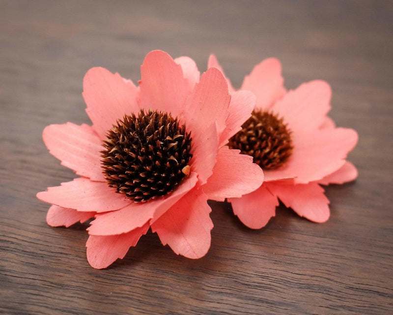 3" Coral Sunflower (10 Pack) - Sola Wood Flowers