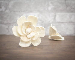 3" Lucky (10 pack) - Sola Wood Flowers
