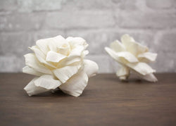 3" Valencia (3 Pack) - Sola Wood Flowers