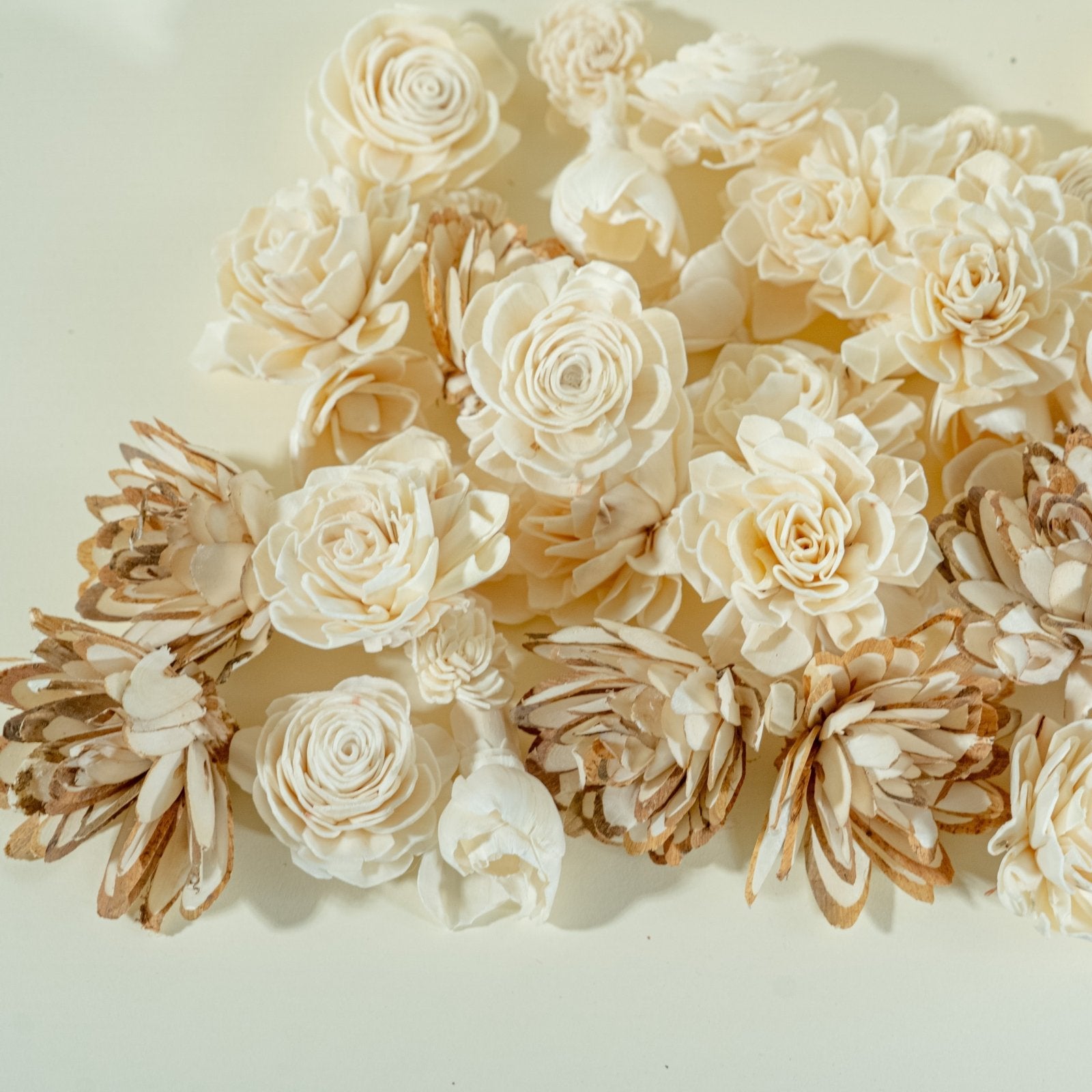 Baby's Breath (Champagne) – Sola Wood Flowers