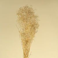 Baby's Breath (Champagne) - Sola Wood Flowers