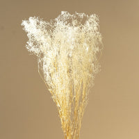 Baby's Breath (White) - Sola Wood Flowers
