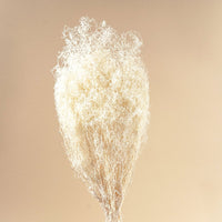 Baby's Breath (White Sparkle) - Sola Wood Flowers