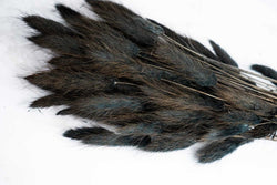 Bunny Tails - Black - Sola Wood Flowers