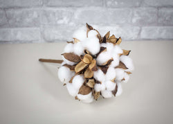 Cotton Bush - Sola Wood Flowers