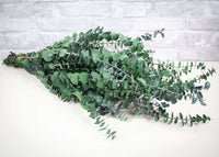 Custom Satin Washed Eucalyptus - Kelly Green 1/5 - Sola Wood Flowers