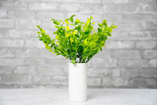 Faux Isreali Ruscus - White Green - Sola Wood Flowers