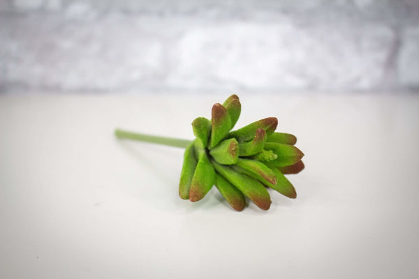 Fuzzy Succulent Pick - Green/Burgundy - Sola Wood Flowers