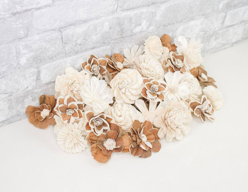 Galaxy Assortment - Sola Wood Flowers