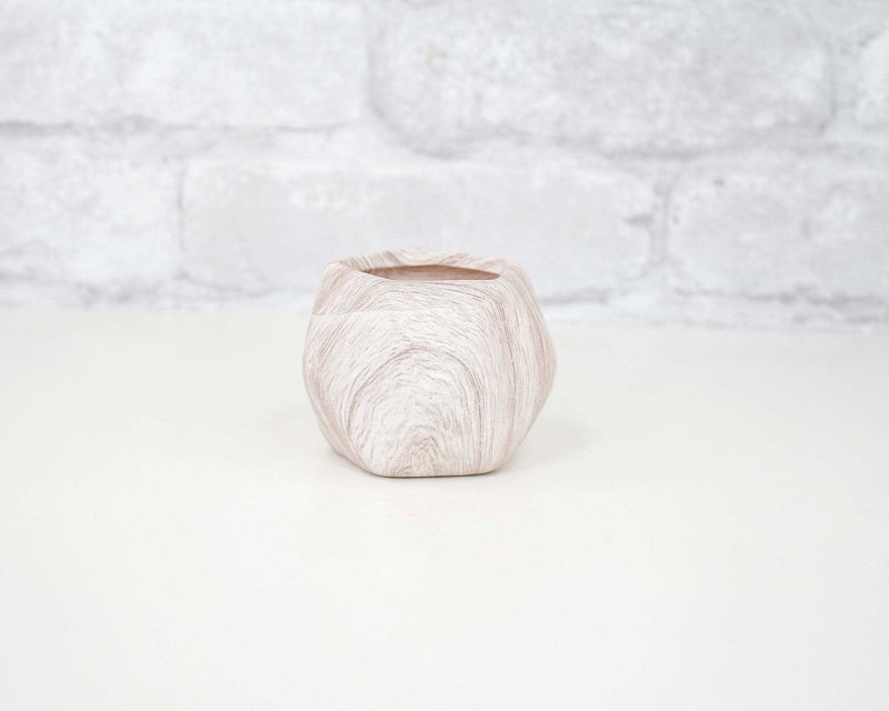 Geometric Ceramic Pots (Multiple Color Options) - Sola Wood Flowers