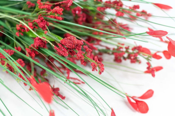 Heather Bush - Red Petals - Sola Wood Flowers