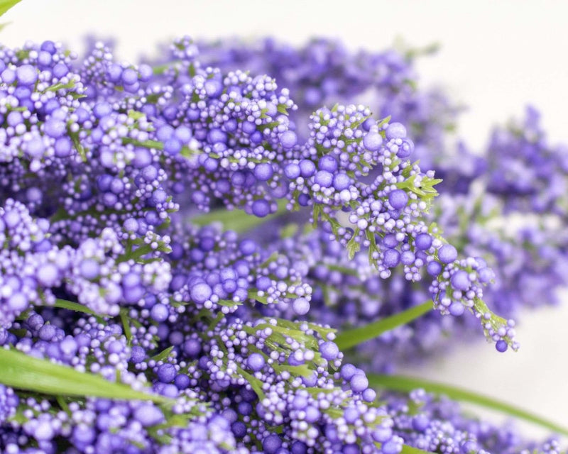 Heather Grass Bush - Purple - Sola Wood Flowers