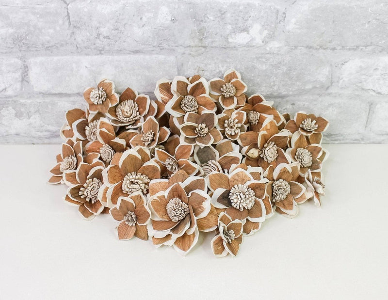 Mila Variety Pack - Sola Wood Flowers