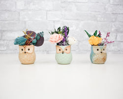 Mini Ceramic Owl Pot (Set of 3) - Sola Wood Flowers